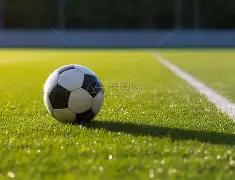 若昂,戈麦斯累积,黄牌,OUYI,Sports,欧亿体育,体育直播,体育赛事,APP下载,官方网地址