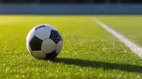 “若昂-戈麦斯累积黄牌，狼队与曼联对决恐无缘关键之战！”